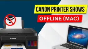 Canon printer offline on mac